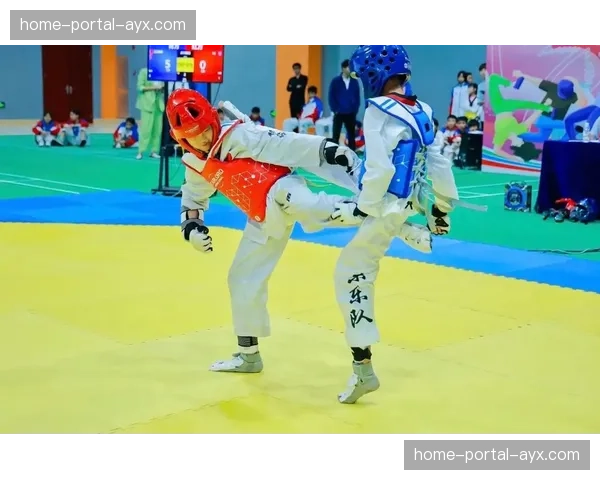 评论:电子护具判罚一致性再引讨论,技术升级是否应匹配裁判培训升级?