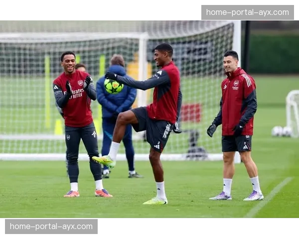 通讯:从重伤到回归,专访阿森纳后卫廷贝尔的心路历程 通讯:从重伤到回归,专访阿森纳后卫廷贝尔的心路历程