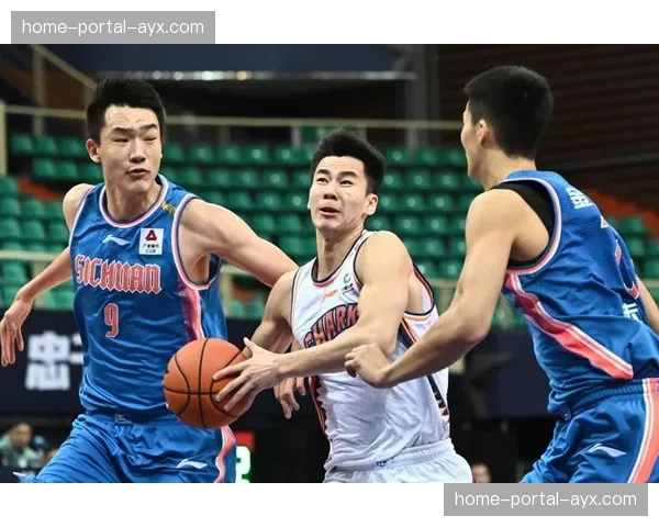 述评：外援政策微调后的首个赛季，国内球员数据普遍上涨